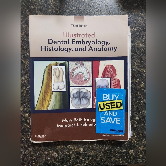 Other | Illustrated Dental Embryology Histology And Anatomy 3rd | Poshmark